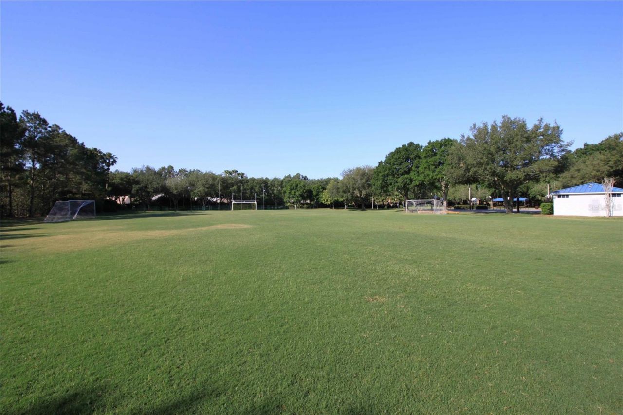 3692 Johnathon Avenue, Palm Harbor, FL 34685 Photo