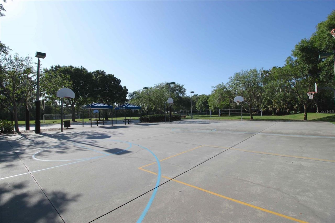 3692 Johnathon Avenue, Palm Harbor, FL 34685 Photo