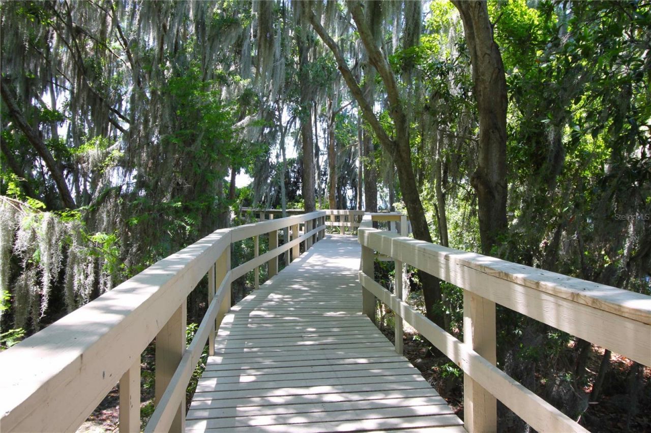 3692 Johnathon Avenue, Palm Harbor, FL 34685 Photo