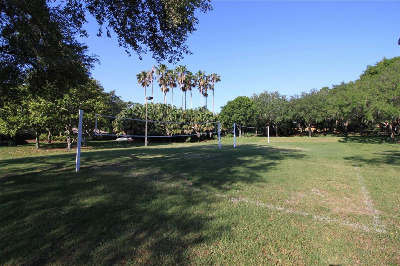 3692 Johnathon Avenue, Palm Harbor, FL 34685 Photo