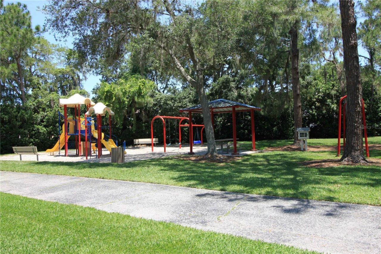 3692 Johnathon Avenue, Palm Harbor, FL 34685 Photo