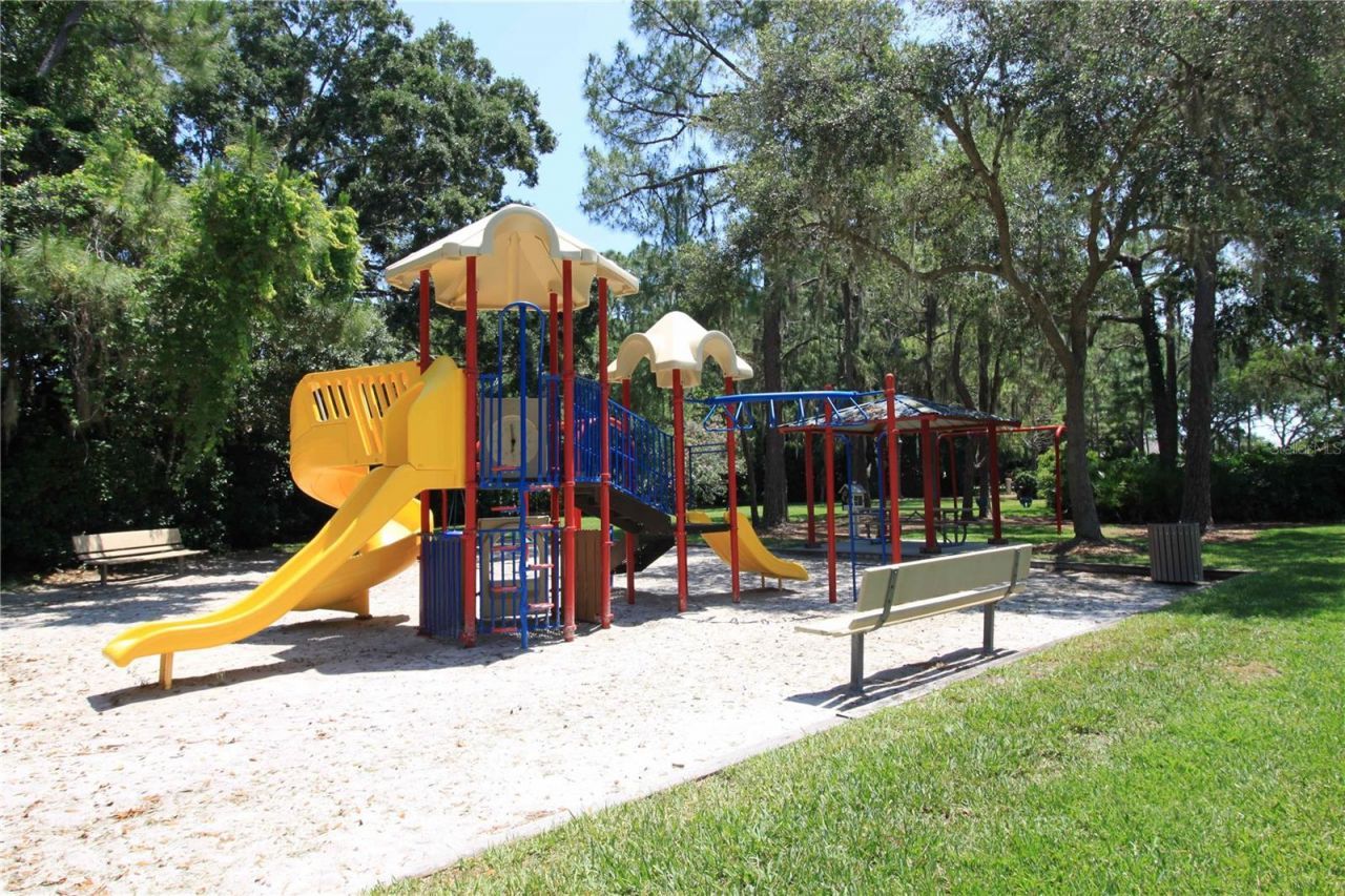 3692 Johnathon Avenue, Palm Harbor, FL 34685 Photo