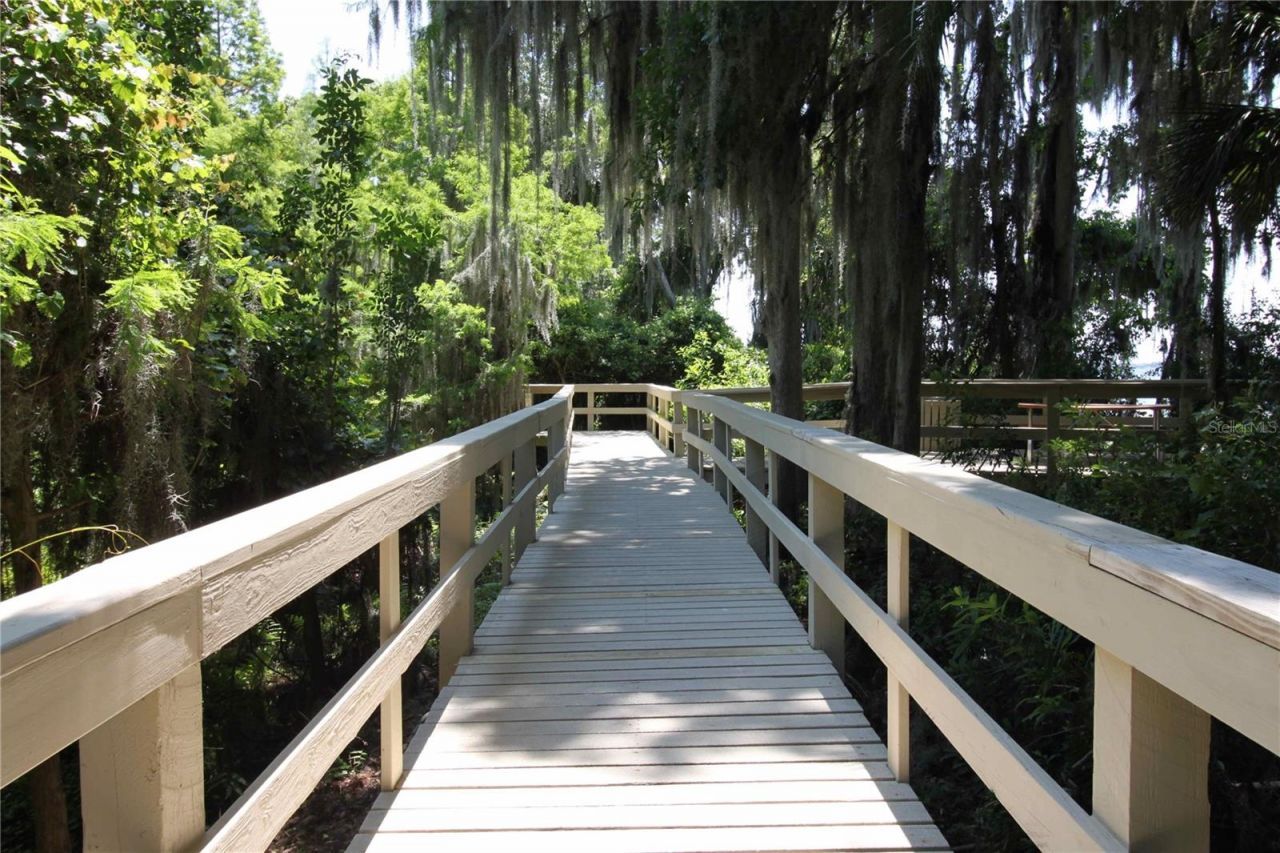 3692 Johnathon Avenue, Palm Harbor, FL 34685 Photo