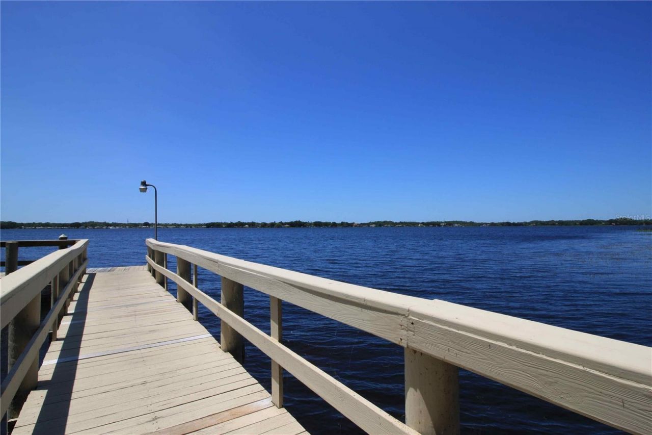 3692 Johnathon Avenue, Palm Harbor, FL 34685 Photo