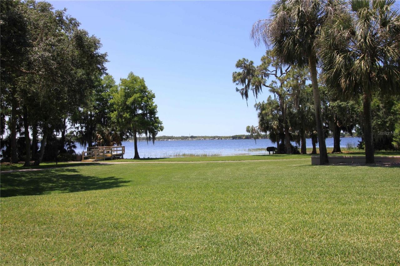 3692 Johnathon Avenue, Palm Harbor, FL 34685 Photo