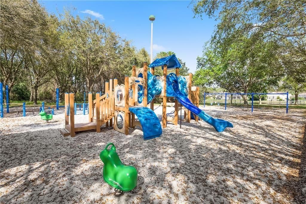 3692 Johnathon Avenue, Palm Harbor, FL 34685 Photo