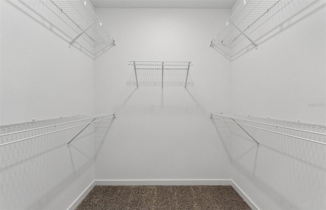 9931 Trellis Vine Way , Parrish, FL 34219 Photo