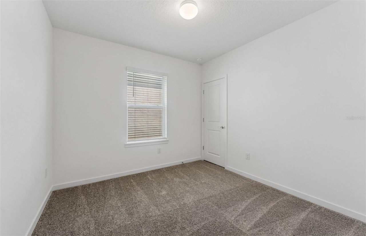 9931 Trellis Vine Way , Parrish, FL 34219 Photo