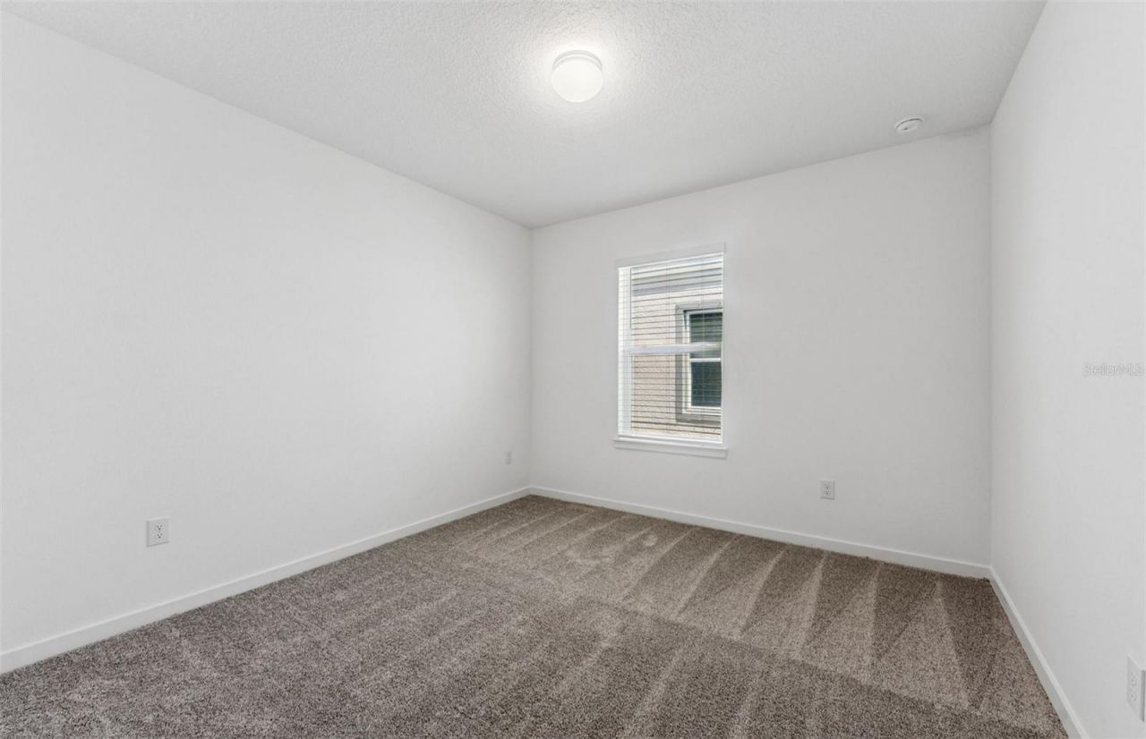 9931 Trellis Vine Way , Parrish, FL 34219 Photo