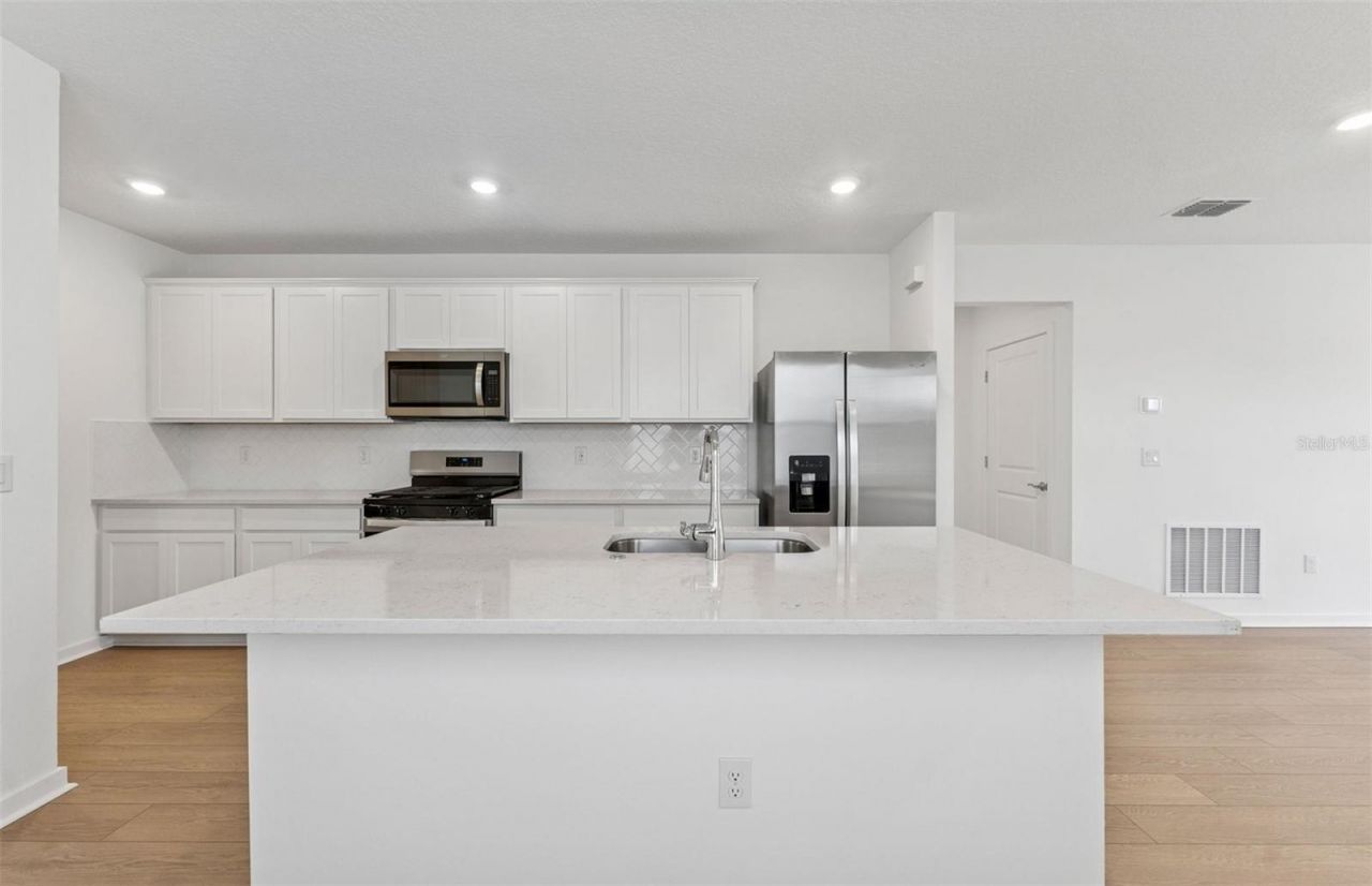 9931 Trellis Vine Way , Parrish, FL 34219 Photo