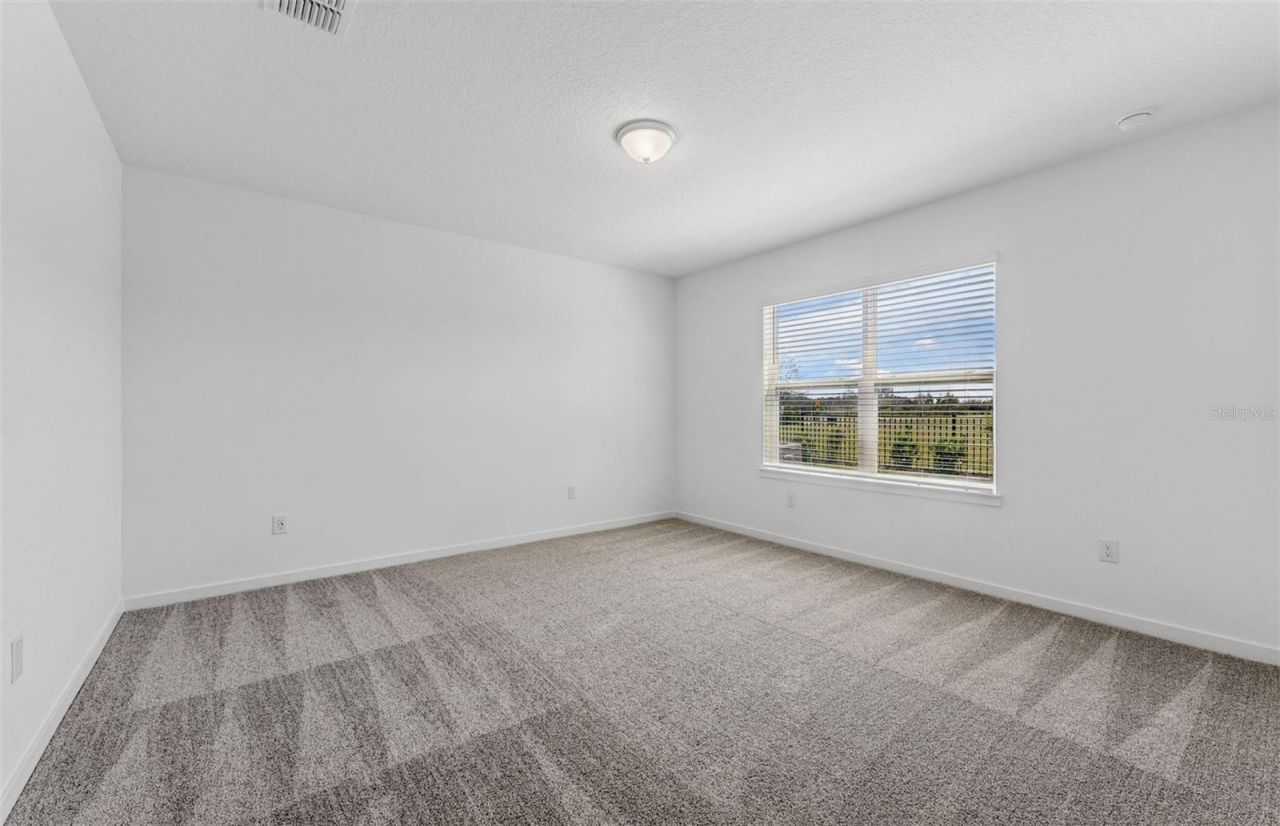 9931 Trellis Vine Way , Parrish, FL 34219 Photo