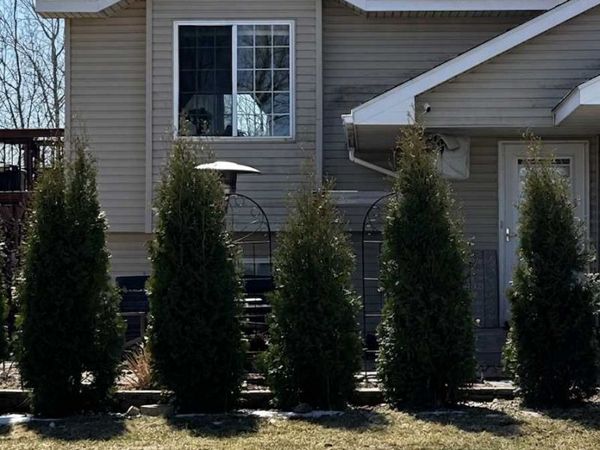 11365 85th Street , Princeton, MN 55371