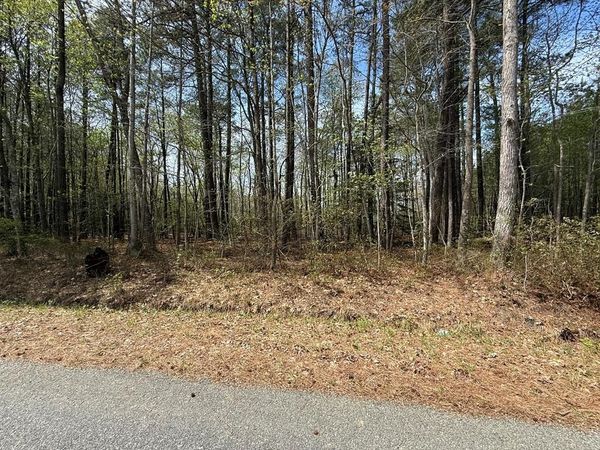 Lot 245A Blundon Road, REEDVILLE, VA 22539
