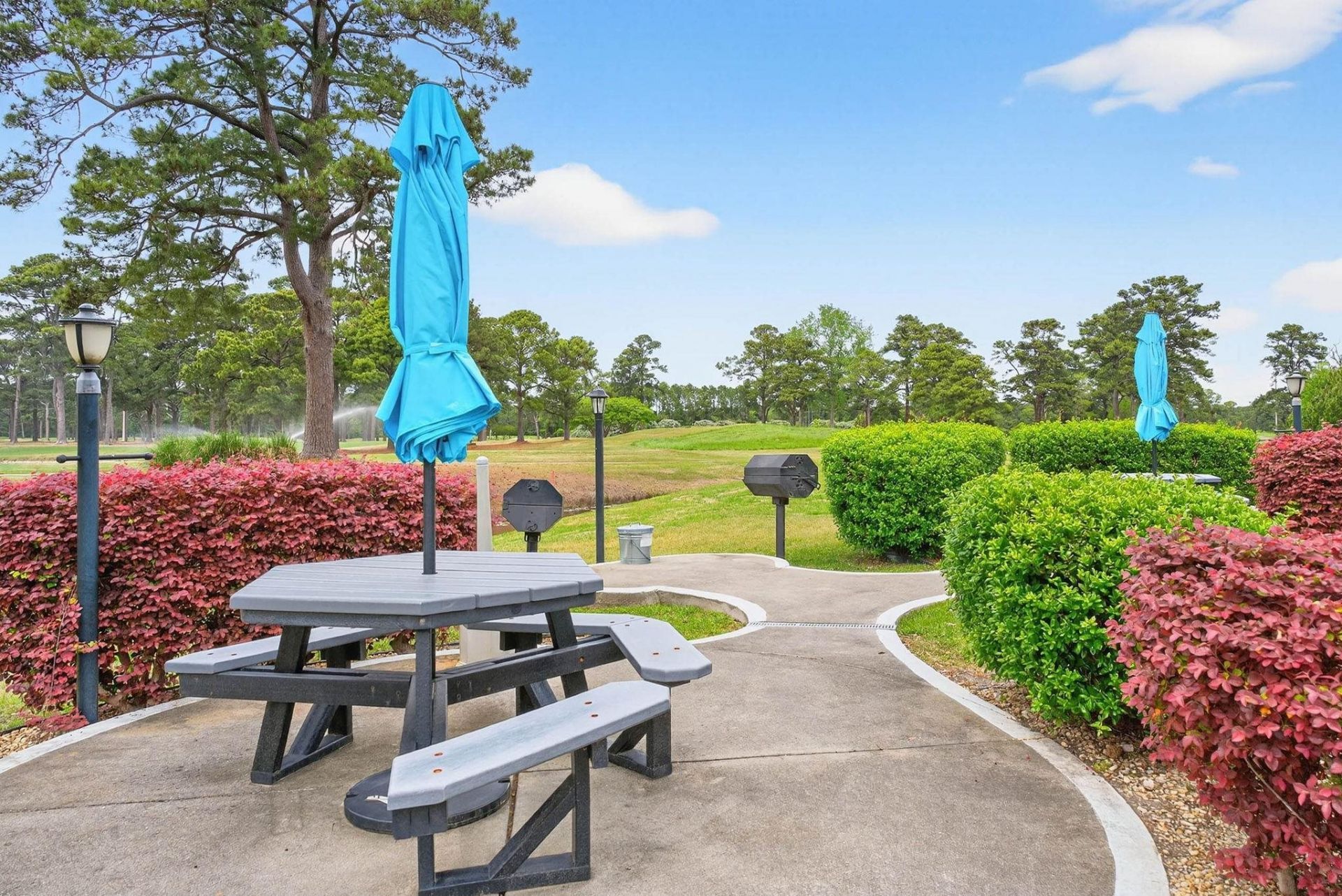 4773 Wild Iris Dr. Photo 45