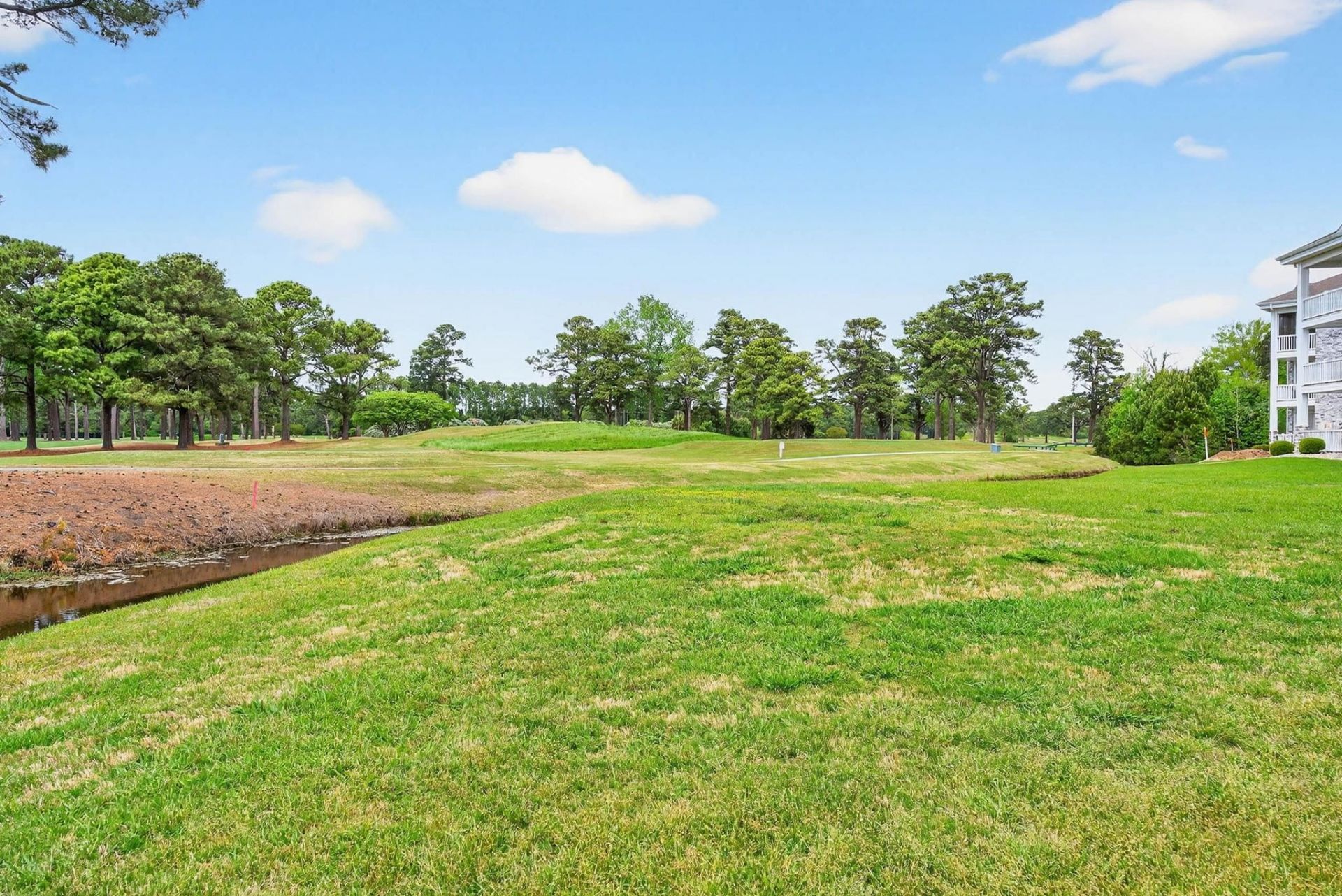 4773 Wild Iris Dr. Photo 46