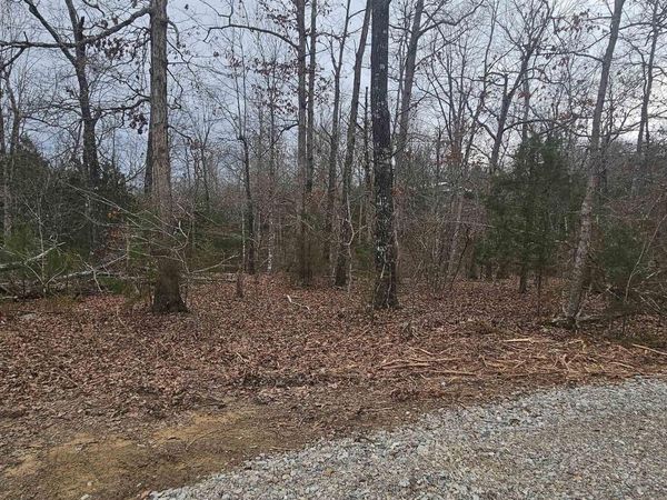 002-08164-000 CR 146 , Henderson, AR 72544