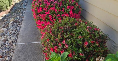 411 Nugget Drive, Folsom, CA 95630 Photo