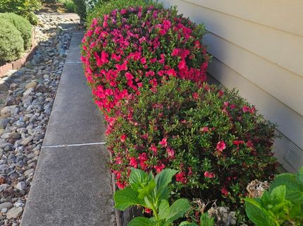 411 Nugget Drive, Folsom, CA 95630 Photo