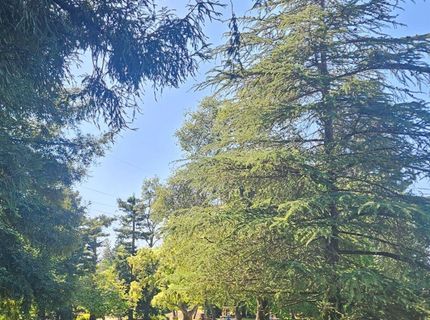 411 Nugget Drive, Folsom, CA 95630 Photo