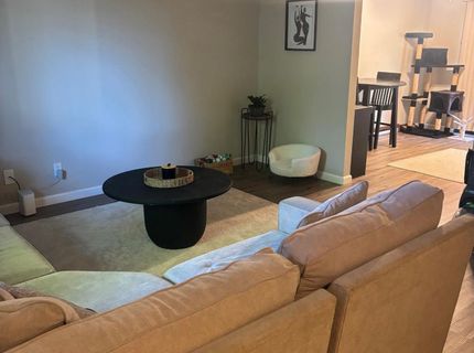 3581 Cedar Ravine, Placerville, CA 95667 Photo