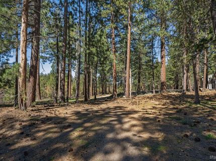 3596 Terry Lane, Unit 45, South Lake Tahoe, CA 96150 Photo