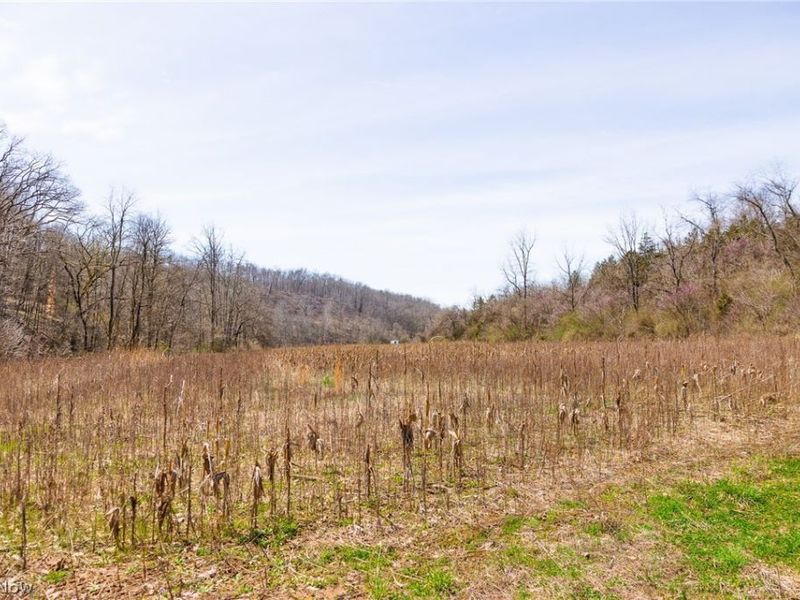 East Branch Road, Lowell, OH 45744 Photo 10