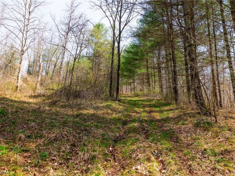 East Branch Road, Lowell, OH 45744 Photo 13