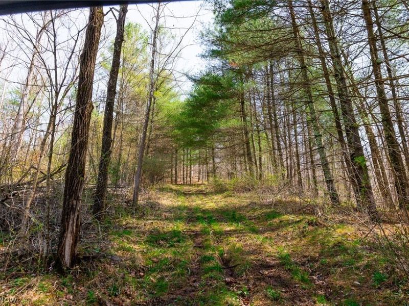 East Branch Road, Lowell, OH 45744 Photo 14