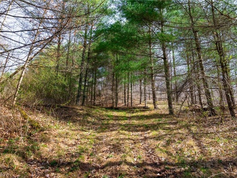 East Branch Road, Lowell, OH 45744 Photo 15