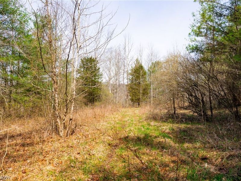 East Branch Road, Lowell, OH 45744 Photo 16