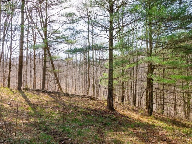 East Branch Road, Lowell, OH 45744 Photo 17