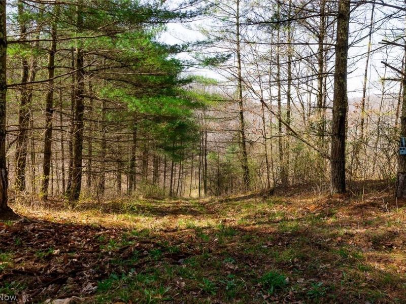 East Branch Road, Lowell, OH 45744 Photo 18