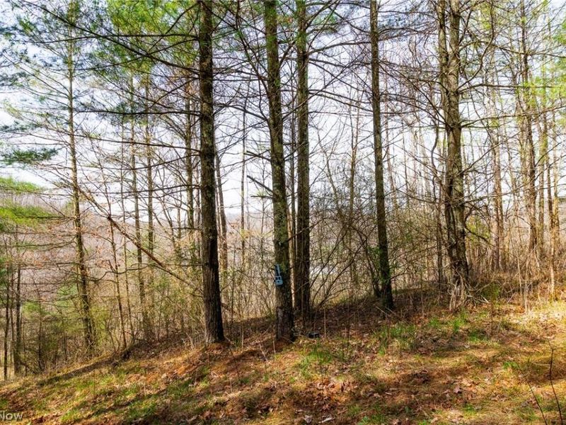 East Branch Road, Lowell, OH 45744 Photo 19