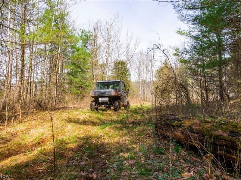 East Branch Road, Lowell, OH 45744 Photo 20