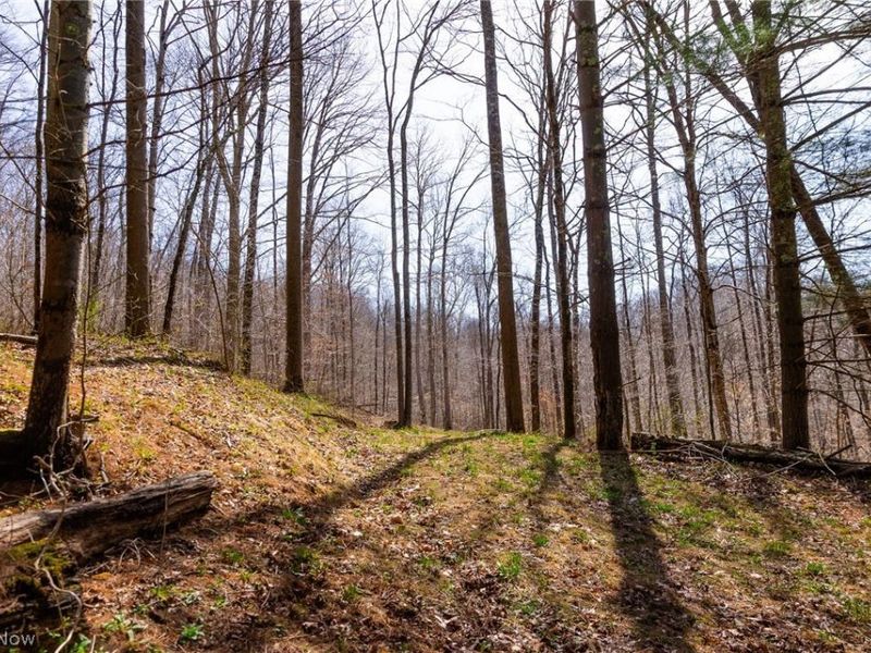 East Branch Road, Lowell, OH 45744 Photo 21