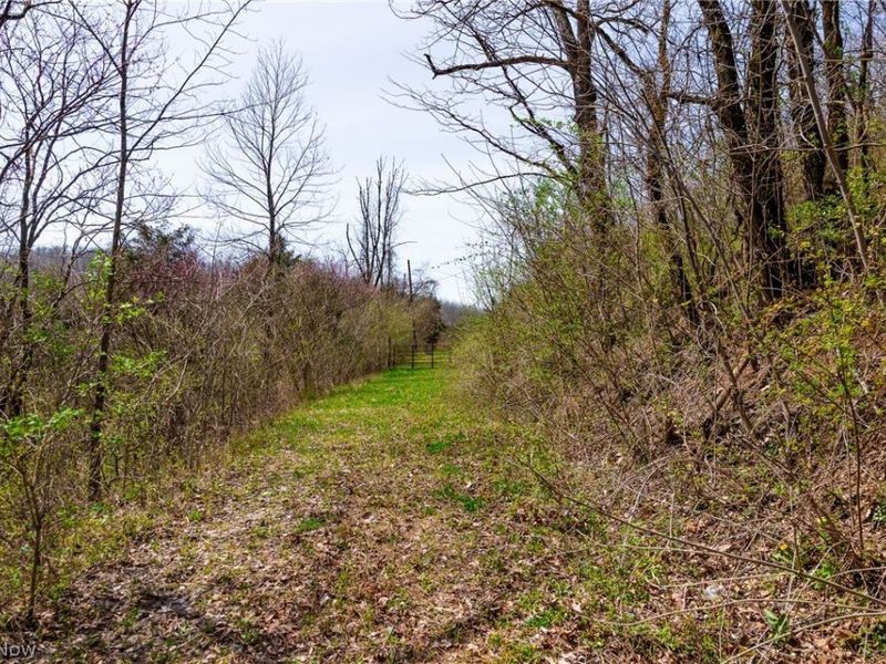 East Branch Road, Lowell, OH 45744 Photo 23