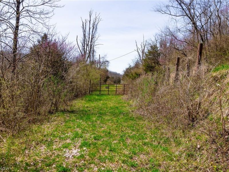 East Branch Road, Lowell, OH 45744 Photo 24