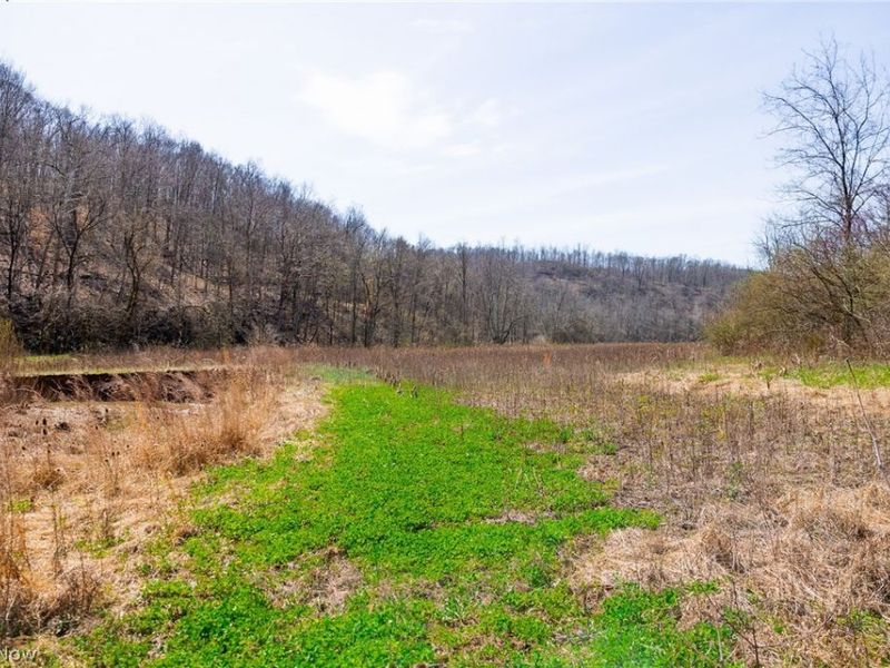 East Branch Road, Lowell, OH 45744 Photo 3