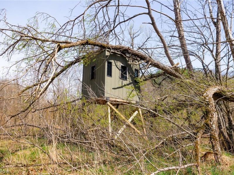 East Branch Road, Lowell, OH 45744 Photo 4