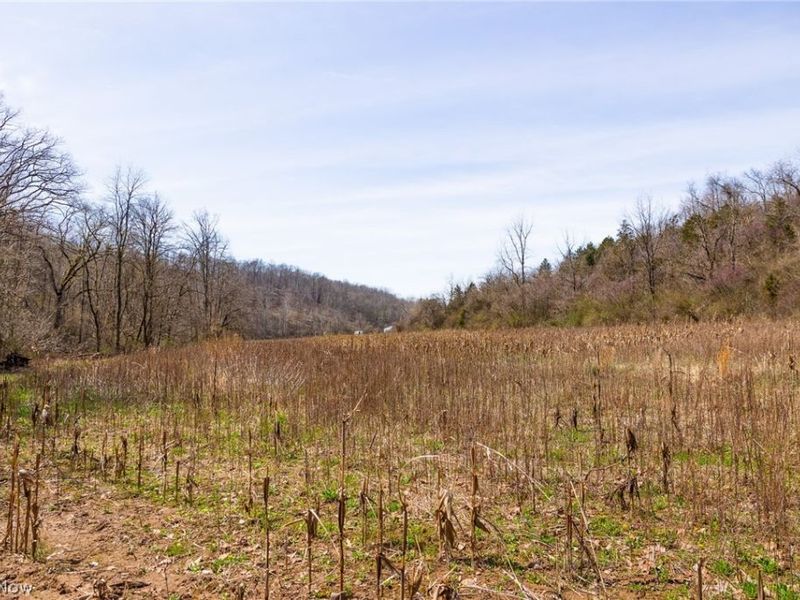 East Branch Road, Lowell, OH 45744 Photo 5