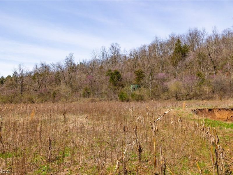 East Branch Road, Lowell, OH 45744 Photo 6