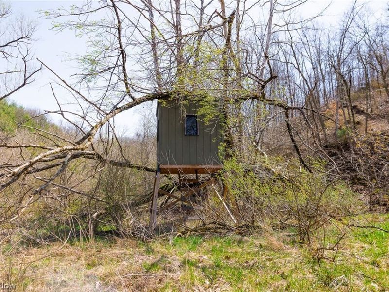 East Branch Road, Lowell, OH 45744 Photo 7