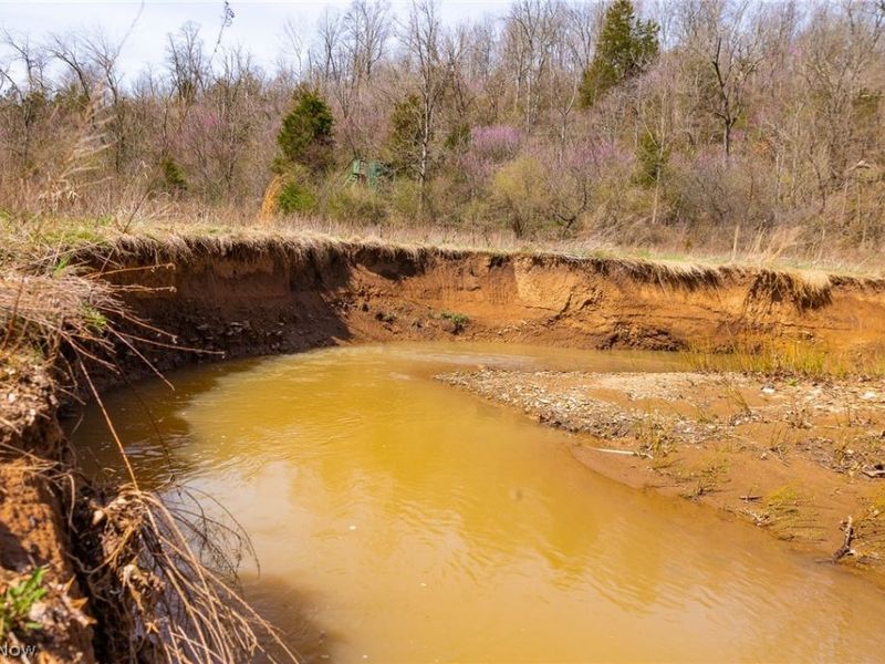 East Branch Road, Lowell, OH 45744 Photo 8