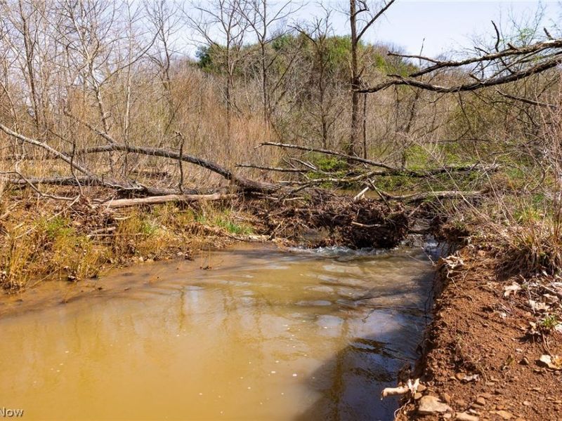 East Branch Road, Lowell, OH 45744 Photo 9