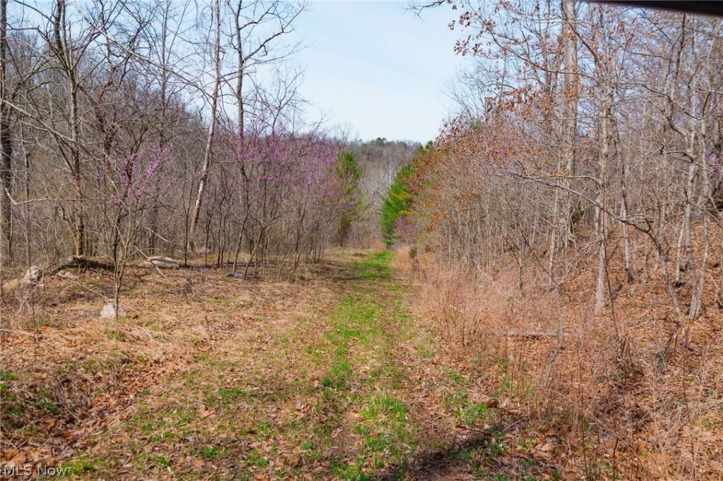 East Branch Road, Lowell, OH 45744