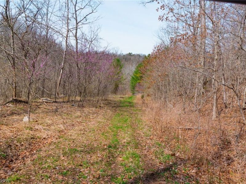 East Branch Road, Lowell, OH 45744 Photo 1