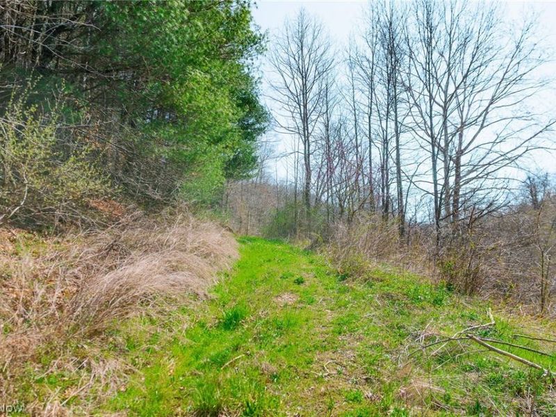 East Branch Road, Lowell, OH 45744 Photo 10