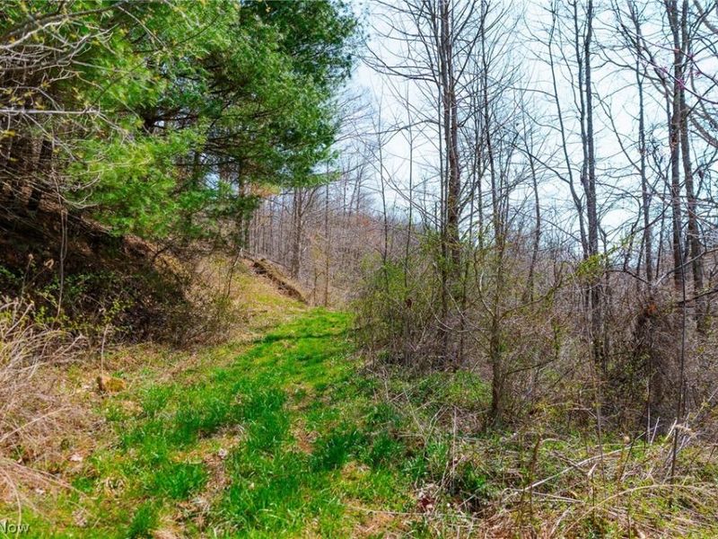 East Branch Road, Lowell, OH 45744 Photo 11