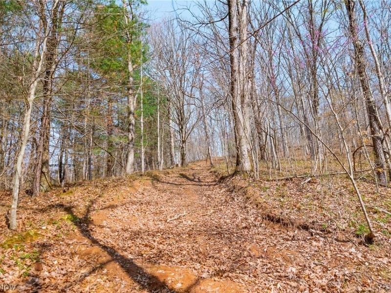 East Branch Road, Lowell, OH 45744 Photo 12