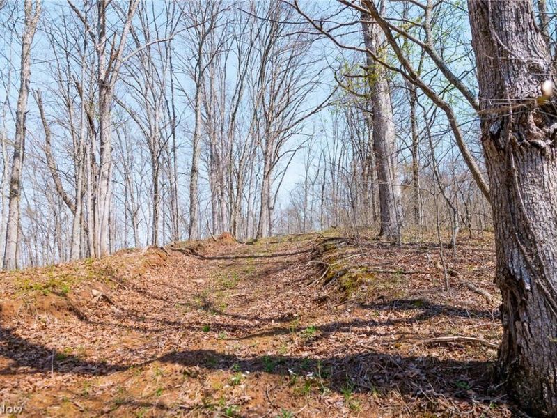 East Branch Road, Lowell, OH 45744 Photo 13